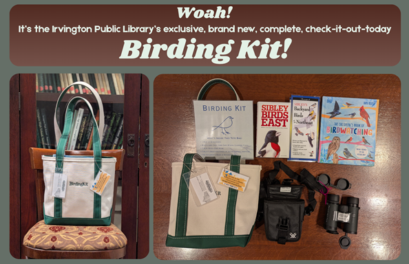 Woah! It’s the Irvington Public Library’s exclusive, brand new, complete, check-it-out-today Birding Kit. This image presents the complete Birding Kit in its tote bag displayed in our beautiful Local History Room, and laid out on a table with all of its contents displayed.