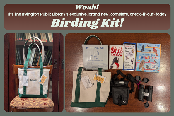 Woah! It’s the Irvington Public Library’s exclusive, brand new, complete, check-it-out-today Birding Kit. This image presents the complete Birding Kit in its tote bag displayed in our beautiful Local History Room, and laid out on a table with all of its contents displayed.